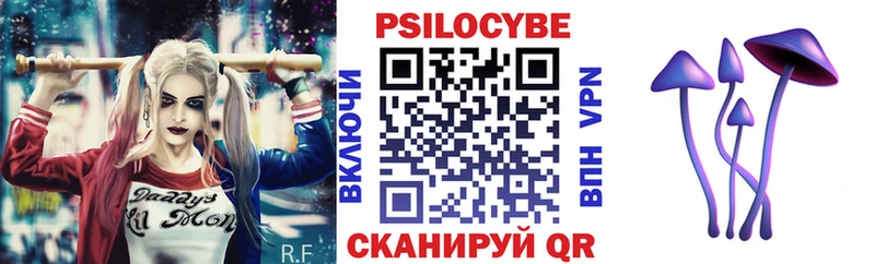 Псилоцибиновые грибы Psilocybe  как найти закладки  Кострома 